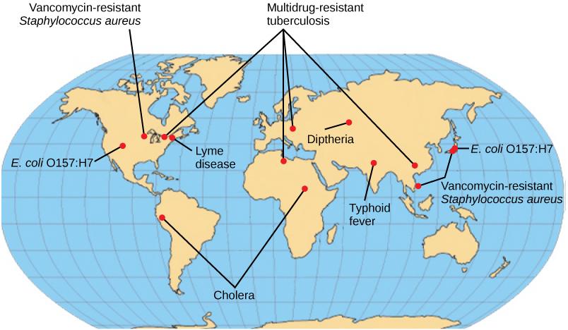 Emerging or re-emerging bacterial diseases are shown on a world map. Multidrug-resistant tuberculosis is emerging in North America, Europe, and Asia. Vancomycin-resistant Staphylococcus aureus and E. coli O157:H7 are emerging in North America and East Asia. Lyme disease is spreading in North America. Cholera is emerging in Africa and South America. Diptheria and typhoid fever are re-emerging in Asia.