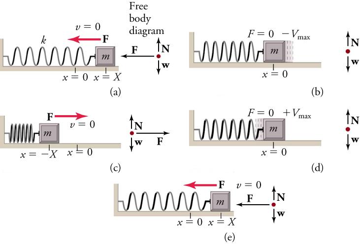 Five diagrams, a, b, c, d, and e are shown. They show an object attached to a spring sliding on a frictionless surface. Diagram a shows a left-pointing force vector and the following labels: v equals zero, x equals zero, x equals x, k. Diagram b has the following labels: F equals zero, negative v max, x equals zero. Diagram c shows a right-pointing force vector and the following labels: v equals zero, x equals zero, x equals negative x. Diagram d has the following labels: F equals zero, positive v max, x 