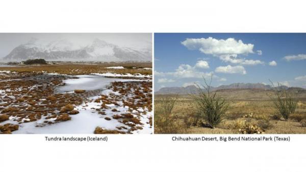 DR%20Tundra%20Desert_1