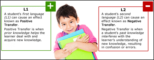 Understanding language transfer graphic explaining positive and negative affects of language transfer between first and second languages.