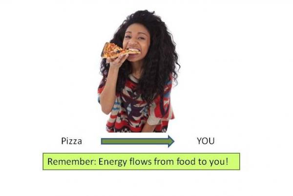 Girl%20eating%20pizza%20slide%20crop