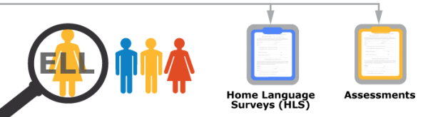 Identification Process