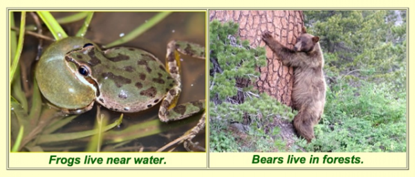 Click the picture to match the habitat to the living organism.