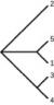 Phylogenetic tree has one branch leading to 2. A second branch leads to 1 and 5. A third branch leads to 3 and 4.