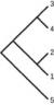 Phylogenetic tree has one branch leading to 5. A second branch has two smaller branches. One leads to 1 and 2. The other leads to 3 and 4.