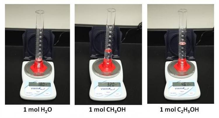 GW0017_ComparingMoles_%28l%29_web