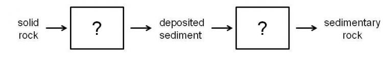 processes that form sedimentary rock flow chart