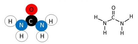 7.6A%20Elaborate%20models