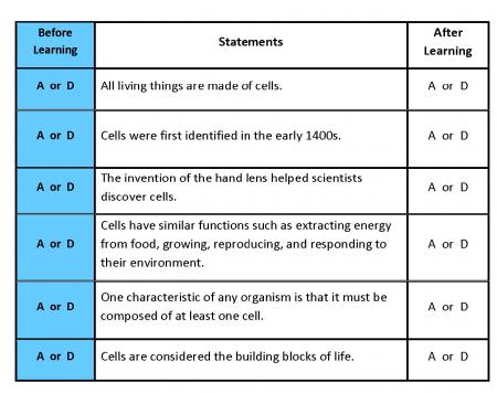 7_12F%20Ant%20Guide%20BL