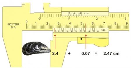 BM0L8%20Figure%202-3