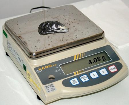 BM0L8%20Figure%203-2