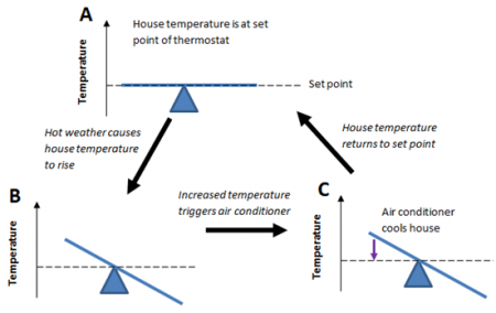(A) a graph of temperature and a balance at the set point. an arrow points to B where the temperature increased and unbalanbed. The air conditioner triggers and points to C where the air conditioner cools and the balance returns back to normal.