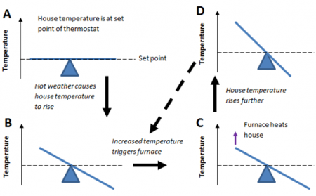balance of house temperature at set point. Arrow points to B where hot weather upsets the balance to increased temperature. Arrow points to C where increased temperature triggers furnace and furnace heats house, which increases the temperature further (D). Arrow points back to increased temperature triggers furnace.