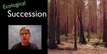 Bozeman%20screencapture