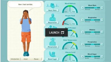 Homeostasisactivity_0