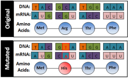 Screen%20Shot%202016-07-28%20at%2012.35.16%20PM