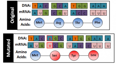 Screen%20Shot%202016-07-28%20at%2012.42.54%20PM