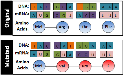 Screen%20Shot%202016-07-28%20at%2012.43.22%20PM