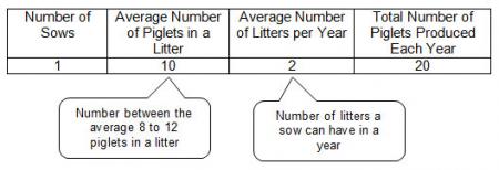 Data table of liter size of pigs