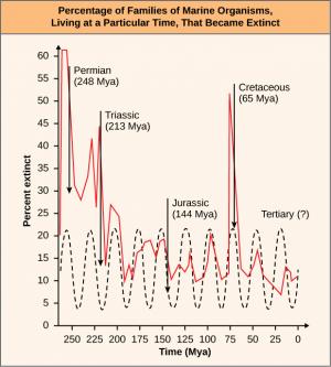 This graph shows the percentage of marine families that became extinct at different times. The biggest extinction event, resulting in about 60 percent of families going extinct, took place 248 million years ago, in the Permian period. Large extinction events also took place in the Triassic, 213 million years ago, in the Jurassic, 144 million years ago, and in the Cretaceous, 65 million years ago. A question mark indicates that another extinction event may be taking place today, in the tertiary period. A p