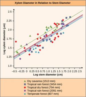 The graph is titled Xylem Diameter in Relation to Stem Diameter. The x-axis is labeled Log stem diameter in centimeters and ranges from negative 0.5 to 2.5 in increments of 0.25. The y-axis is labeled Log xylem diameter in micrometers and ranges from 1.0 to 2.5 in increments of 0.25. Five lines indicate dry savanna 1513 m m, tropical rain forest 3454 m m, tropical dry forest 794 m m, tropical rain forest 2091 m m, and temperate forest 807 m m. Dry savanna 1513 mm has points around a straight line running 