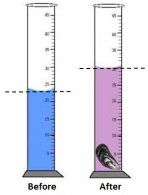 BM0L8%20Figure%204-3