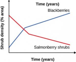 This line graph has Time in years on the x-axis and Shrub density in percent area on the y-axis. A line labeled as Salmonberry shrubs begins about three quarters of the way up the y-axis on the left of the graph, and then decreases to less than one quarter of the way up the y-axis on the far right of the graph. A line labeled Blackberries begins less than one quarter of the way up the y-axis on the left of the graph, increases to meet the line for Blackberries, and then increases to about three quarters o