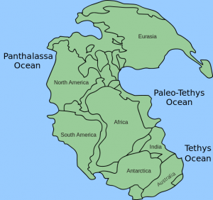 Pangea