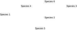 This image shows species 5 at the bottom, species two in the middle, and species 1, 3, 6 and 3 at the top, from left to right.