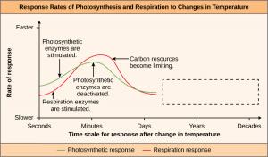 This is a figure called Response Rates of Photosynthesis and Respiration to Changes in Temperature showing a time scale for response after change in temperature from seconds to decades on the x-axis and with rate of response from slower to faster on the y-axis. Photosynthetic response and respiration response are shown using two separate lines. The line showing photosynthesis starts about one-third of the way up from the bottom, slower side of the graph. It peaks at minutes, reaching about midway between 