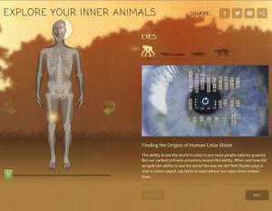 duplicationcolorperception_0