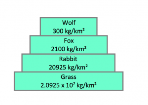 pyramid of biomass in organisms