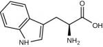 Chemical structure for Tryptophan. The core of this molecule is a six-membered ring joined to a five-member ring by adjacent carbon residues. The six-membered ring consists of carbon only and has three alternating double bonds. The five-membered ring has four carbon atoms and one nitrogen atom, located one residue away from the six-membered ring. A hydrogen atom is attached to the nitrogen residue. This ring has two double bonds. Two residues away from the nitrogen atom, a three-carbon chain is attached. 