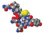 Three-dimensional chemical structure for oxytocin. Balls that differ in size and color represent each atom. Intermediate-sized gray balls represent carbon atoms. The carbon atoms form rings and chains at the core of the molecule. Attached to the carbon atoms are many nitrogen and sulfur atoms, also intermediate in size, and many small hydrogen atoms. A few large oxygen atoms are also attached.